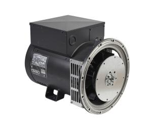 Синхронный генератор Mecc Alte ECP28-0S/4 (10,8 кВт) Синхронный генератор Mecc Alte ECP28-0S/4 (10,8 кВт)