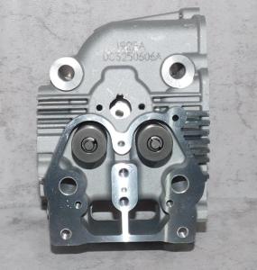 Головка блока цилиндра SDG 6500EHA,CP192FE (в сборе - клапаны,пружины) Cm / Cylinder head assy (20021-00160-00) Головка блока цилиндра SDG 6500EHA,CP192FE (в сборе - клапаны,пружины) Cm / Cylinder head assy (20021-00160-00)