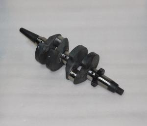 Вал коленчатый SDG 10000(..),LT290FE Lt / Crankshaft (1.02.05.01.0076) Вал коленчатый SDG 10000(..),LT290FE Lt / Crankshaft (1.02.05.01.0076)