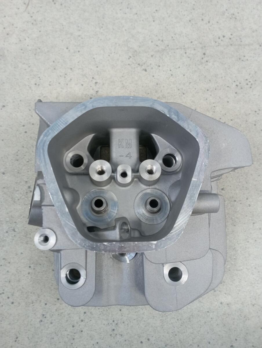 Головка блока цилиндра SGG 5000(..)-6000(..),KM190FP / Cylinder head (03.02.12140-19003-00)