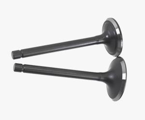 Комплект клапанов бензинового двигателя G420F Комплект клапанов бензинового двигателя G420F