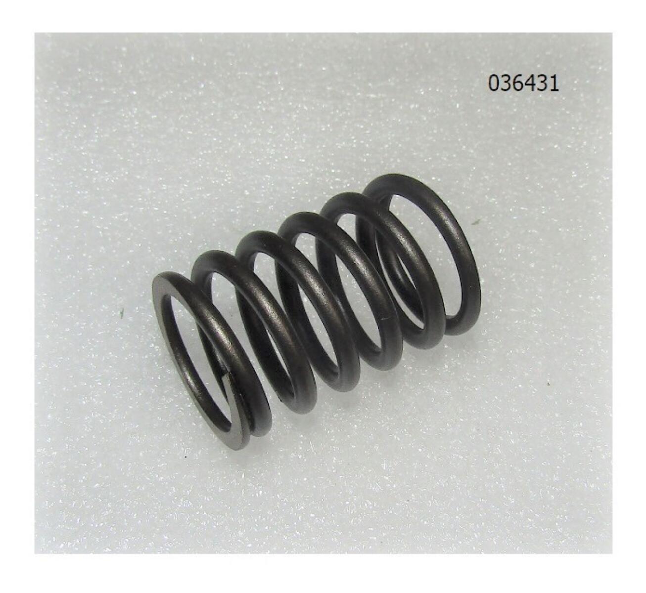Пружина клапана SGG 10000Ei,SV460 до 08.2024 Sc / Valve spring (34015-00004-00) Пружина клапана SGG 10000Ei,SV460 до 08.2024 Sc / Valve spring (34015-00004-00)