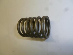 Пружина клапана внешняя TDQ 20 4L/Outer valve spring (2409000300400) Пружина клапана внешняя TDQ 20 4L/Outer valve spring (2409000300400)
