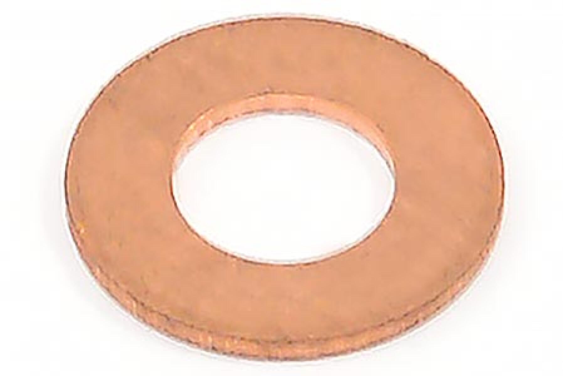 Шайба уплотнительная форсунки (T=1.0) /Fuel Injector gasket 1,0 (2010393) Шайба уплотнительная форсунки (T=1.0) /Fuel Injector gasket 1,0 (2010393)