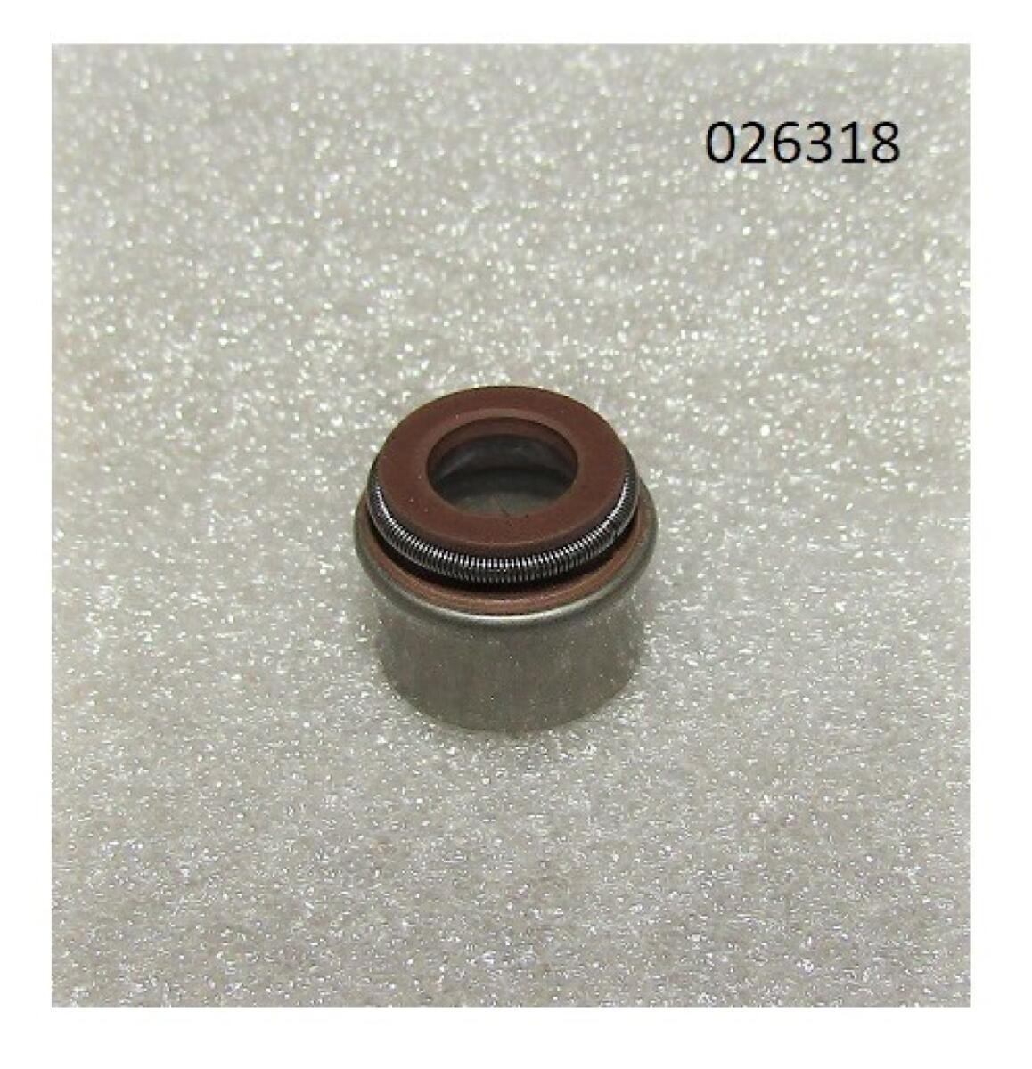 Колпачок маслосъёмный R2V910X / Valve guide oil seal (WS2V88-02030)